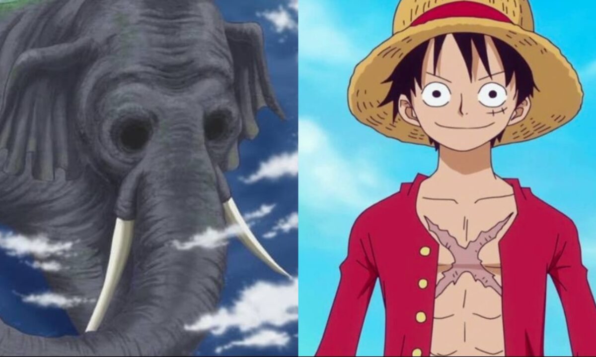 Altura dos personagens de One Piece