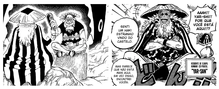 One Piece encerra debate que durou mais de 10 anos